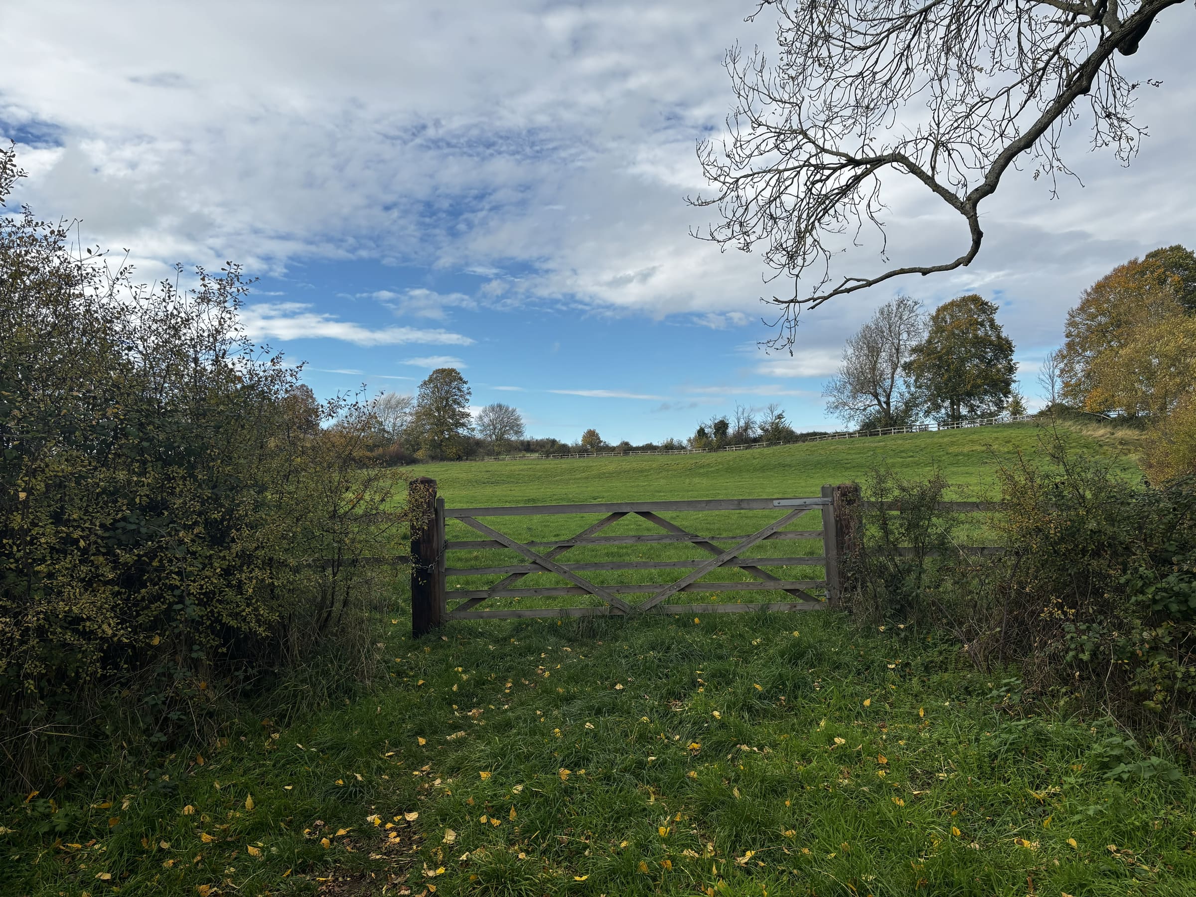 Path through the local landscape